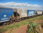 RUMO HPT-033682-3